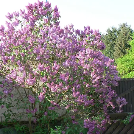 La Maison D'arbouet Frühstückspension