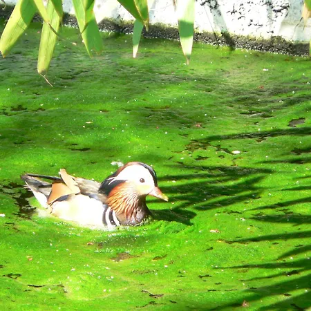 Alojamento de Acomodação e Pequeno-almoço La Maison D'arbouet Nanteuil-la-Fosse (Marne)