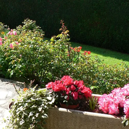 La Maison D'arbouet Bed & Breakfast
