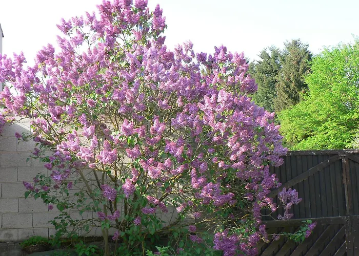 La Maison D'arbouet Bed & Breakfast