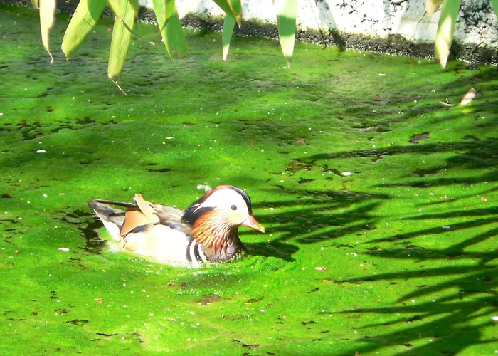 Bed & Breakfast La Maison D'arbouet Nanteuil-la-Fosse (Marne)