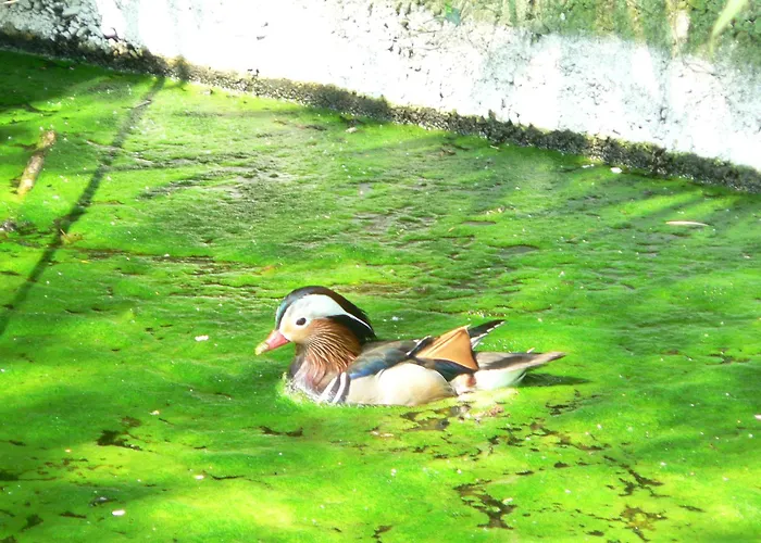 Bed & Breakfast La Maison D'arbouet 3*