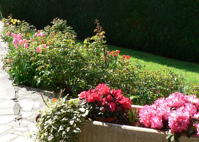 La Maison D'arbouet Bed & Breakfast